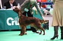 Crufts2011 371